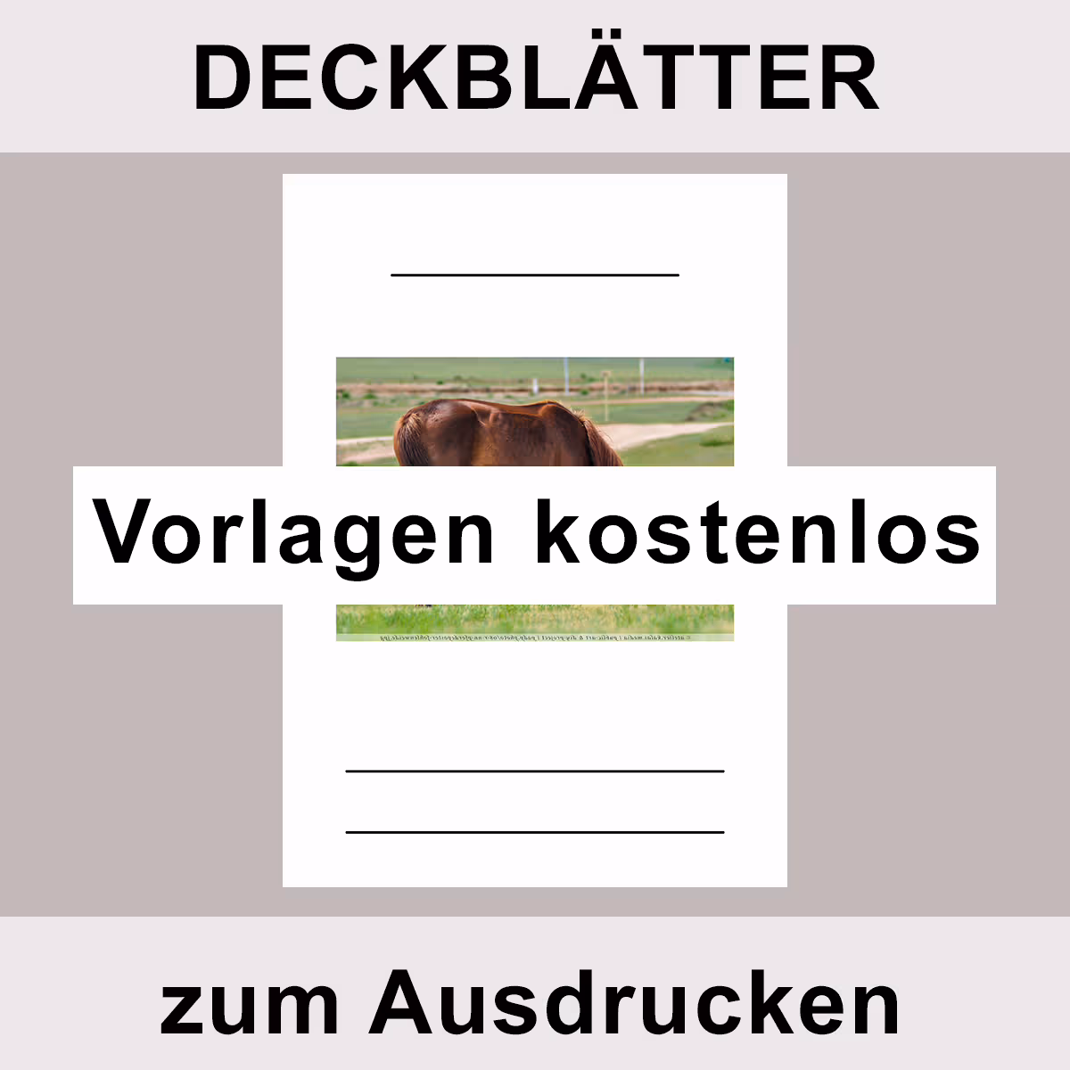 Deckblatt-Vorlage