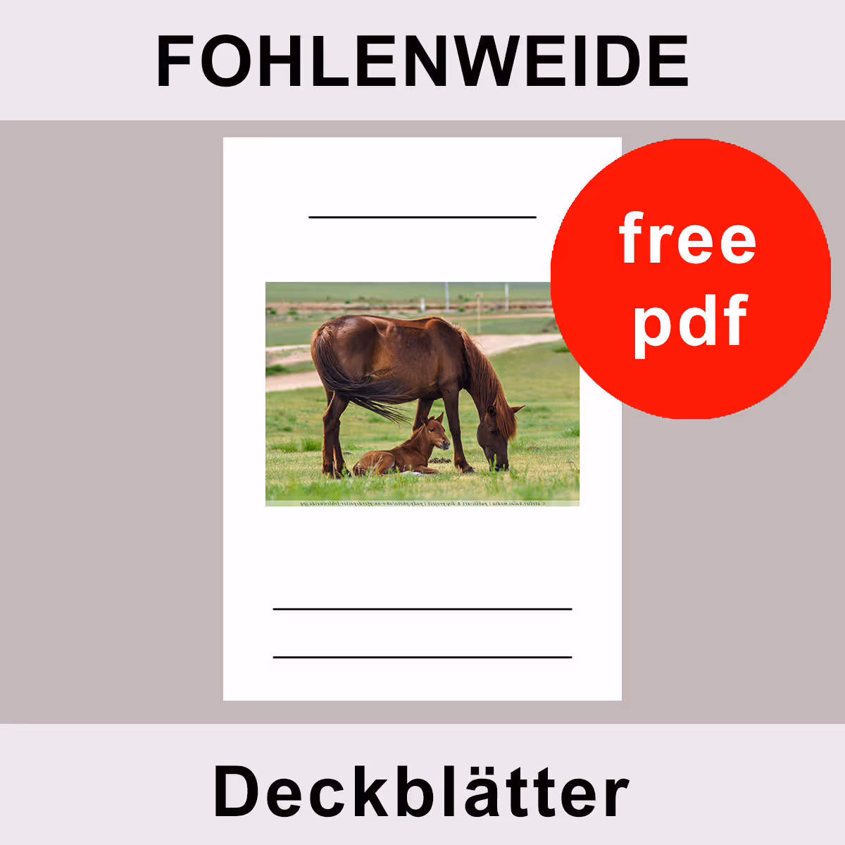 Fohlenweide Deckblatt zum Ausdrucken kostenlos