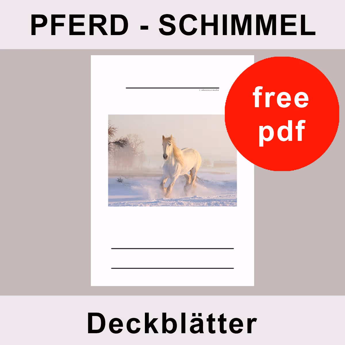 Schimmel Pferd Deckblatt zum Ausdrucken kostenlos
