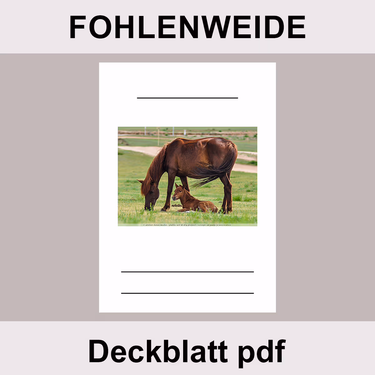 Fohlenweide Deckblatt Vorlage kostenlos - pdf